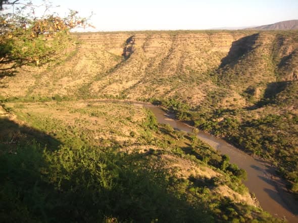 Lower Valley of the Awash