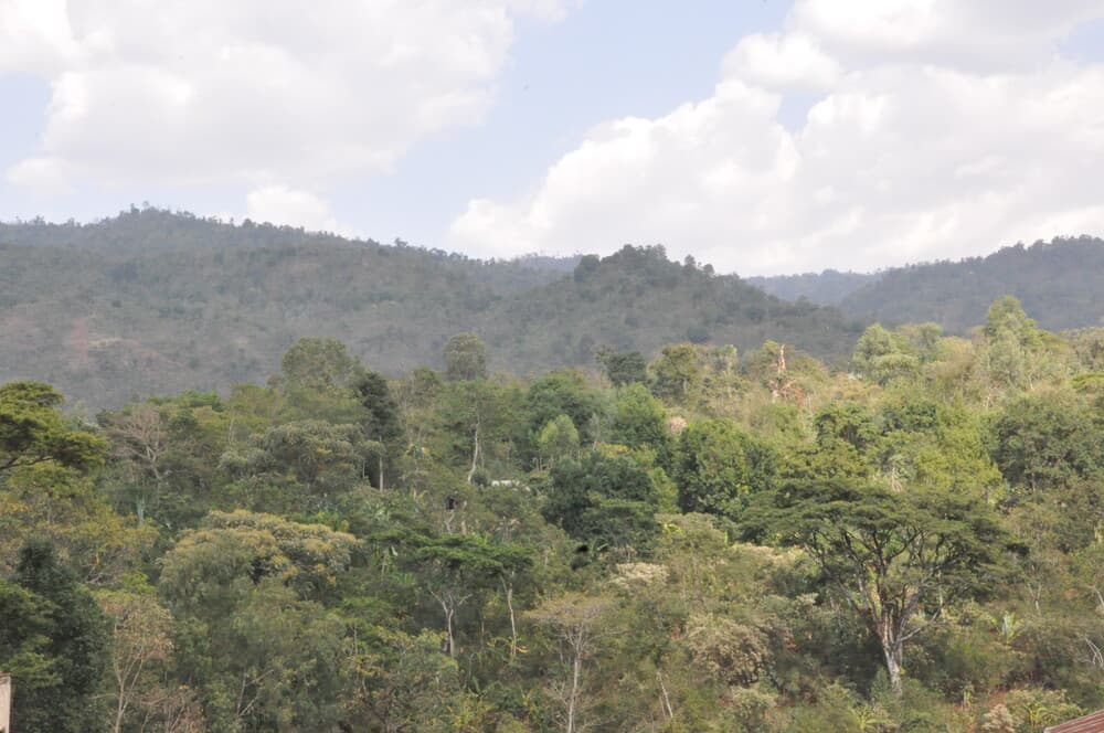 Gedeo Cultural Landscape thumbnail 4