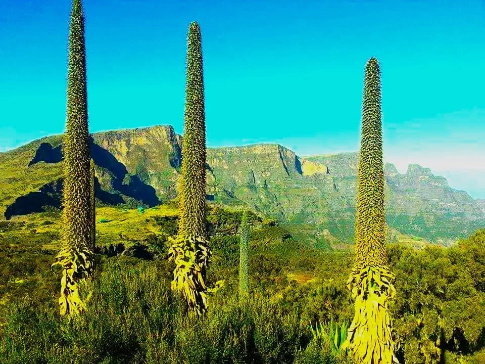 Bale Mountains National Park thumbnail 2